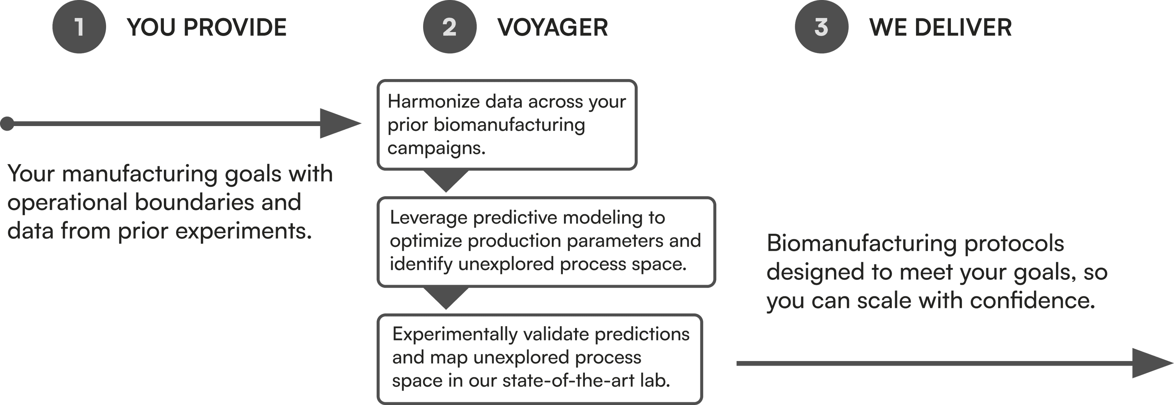 Bioqore process: you provide goals and data; Voyager harmonizes data, models and validates in the lab; we deliver protocols to scale with confidence